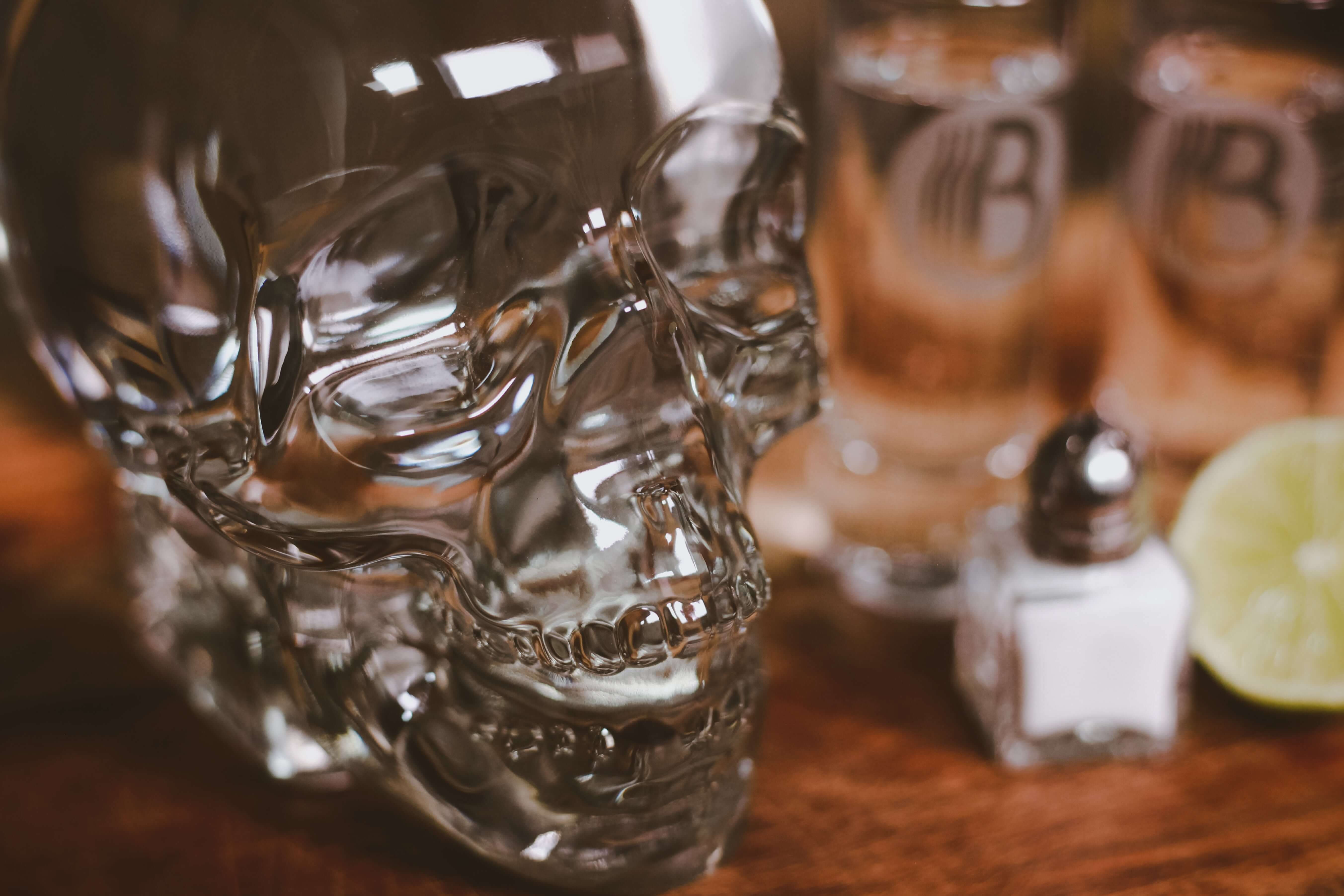 Crystal Head Vodka Gift