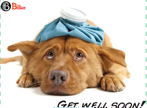 Get Well